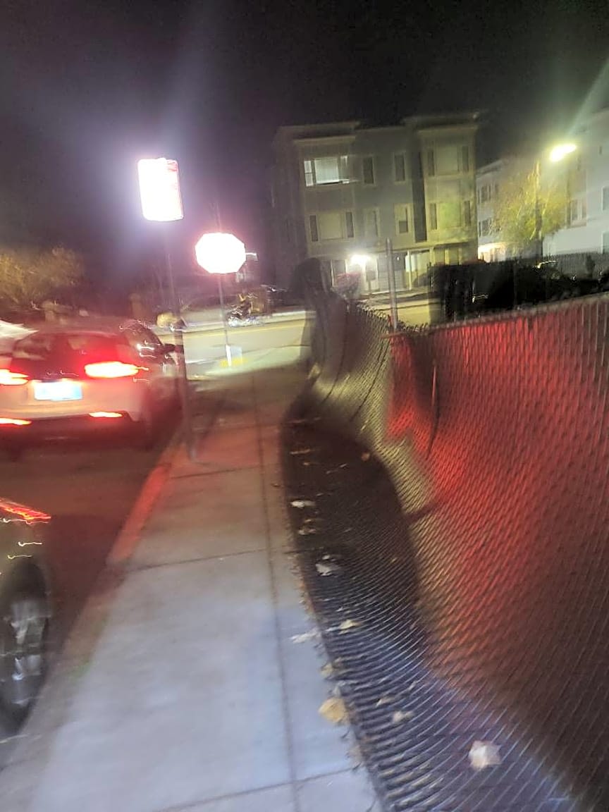 Image submitted with report