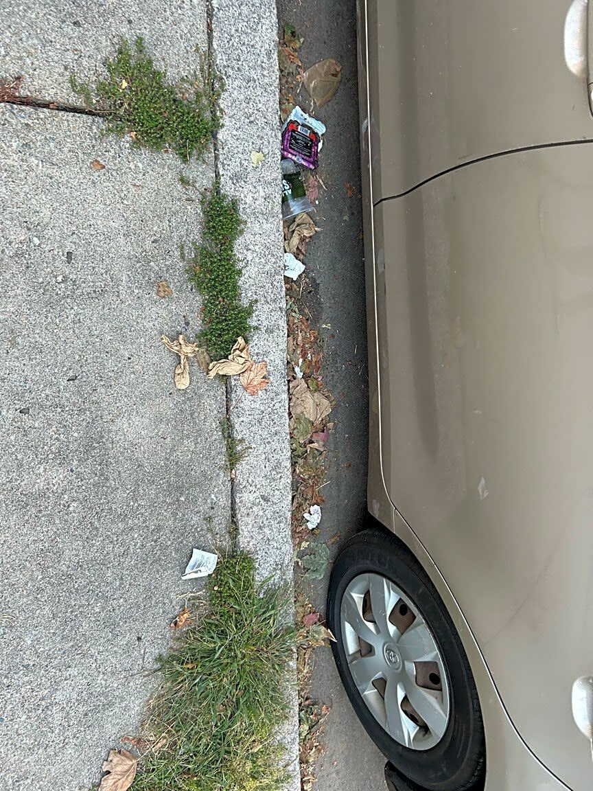 Image submitted with report