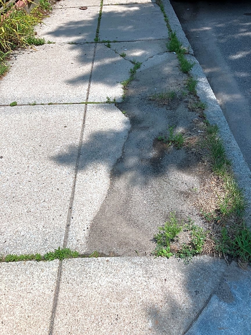Image submitted with report
