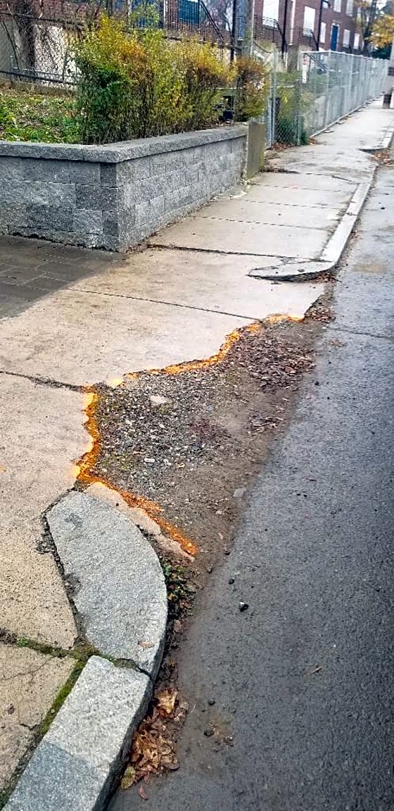 Image submitted with report