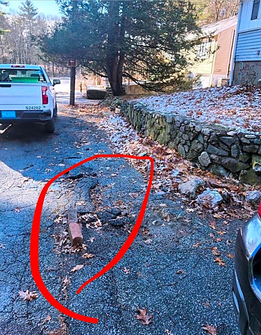 Image submitted with report