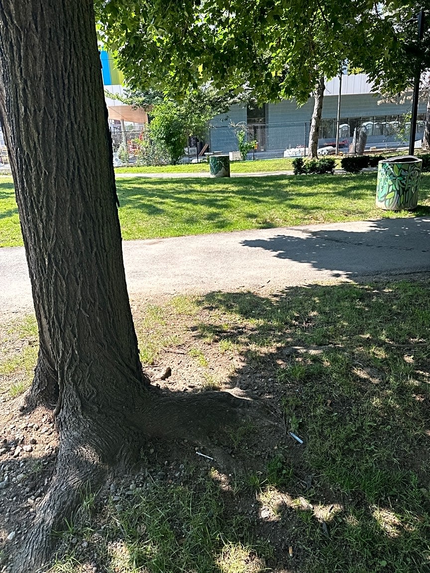 Image submitted with report