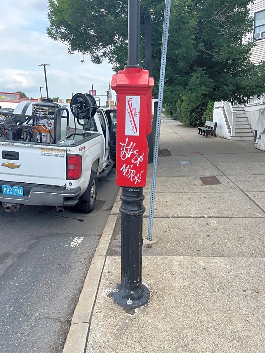 Image submitted with report