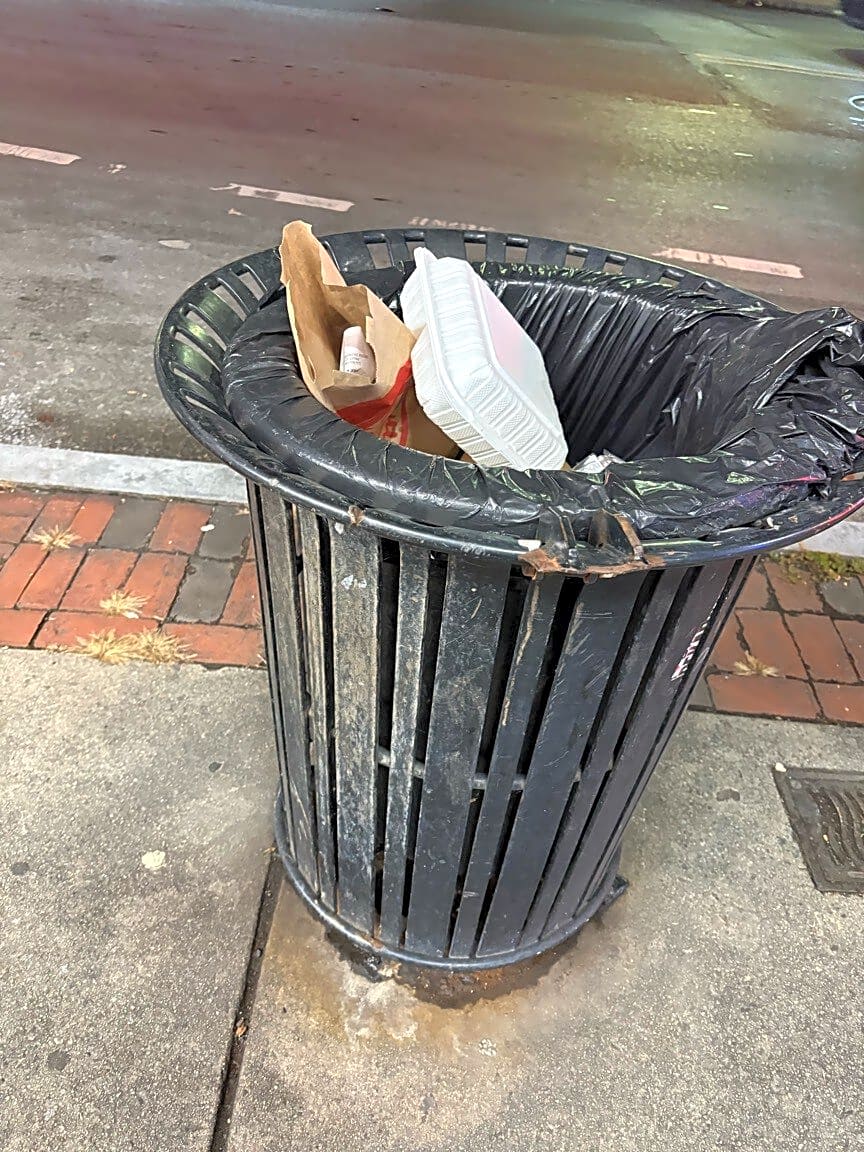 Image submitted with report