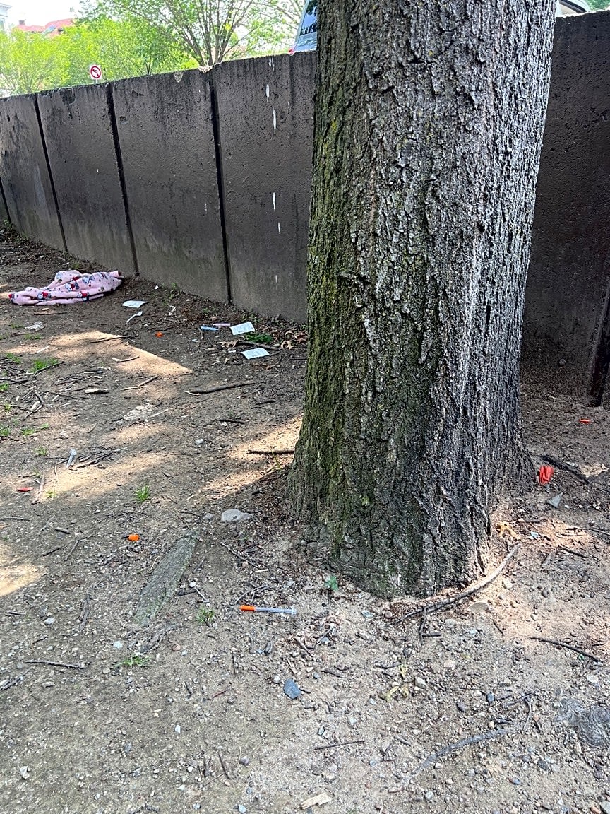 Image submitted with report