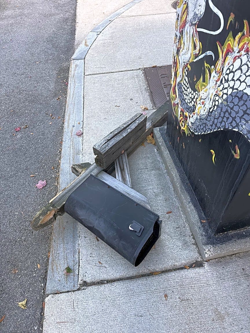 Image submitted with report