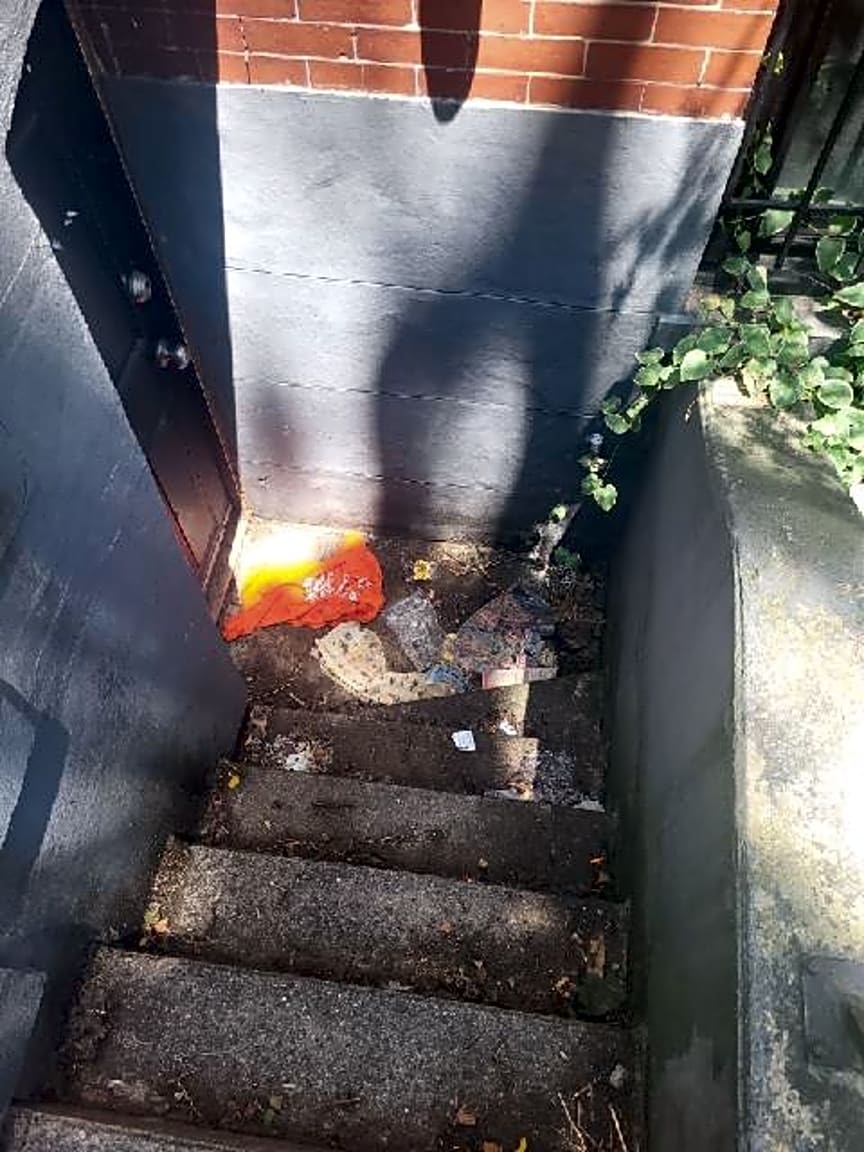 Image submitted with report