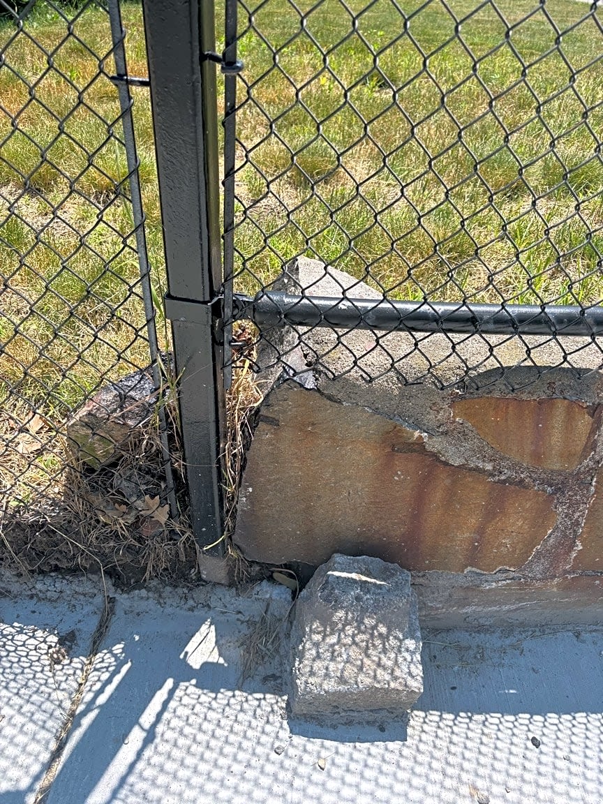 Image submitted with report