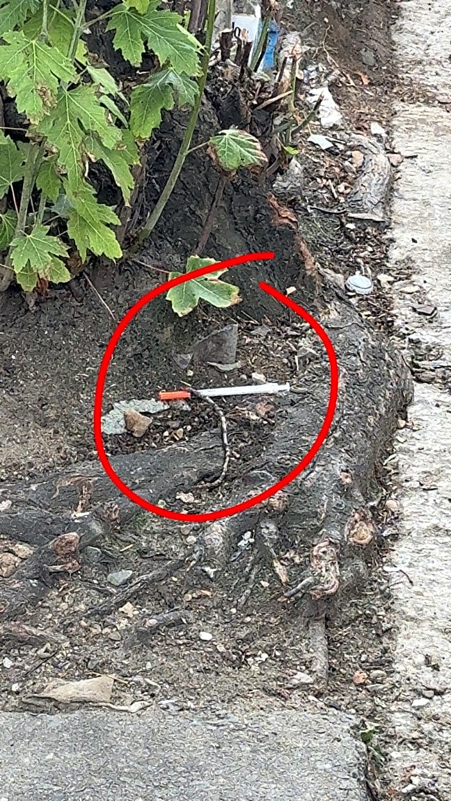 Image submitted with report