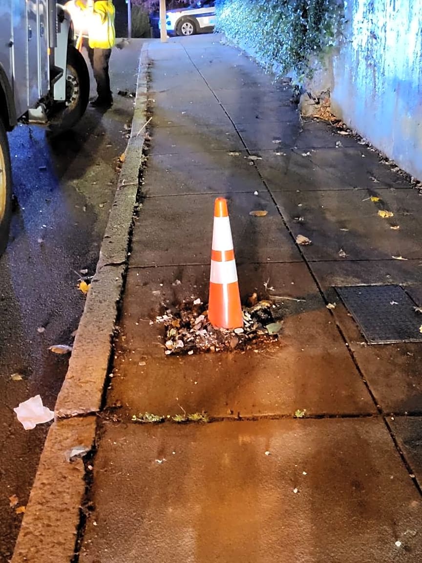 Image submitted with report