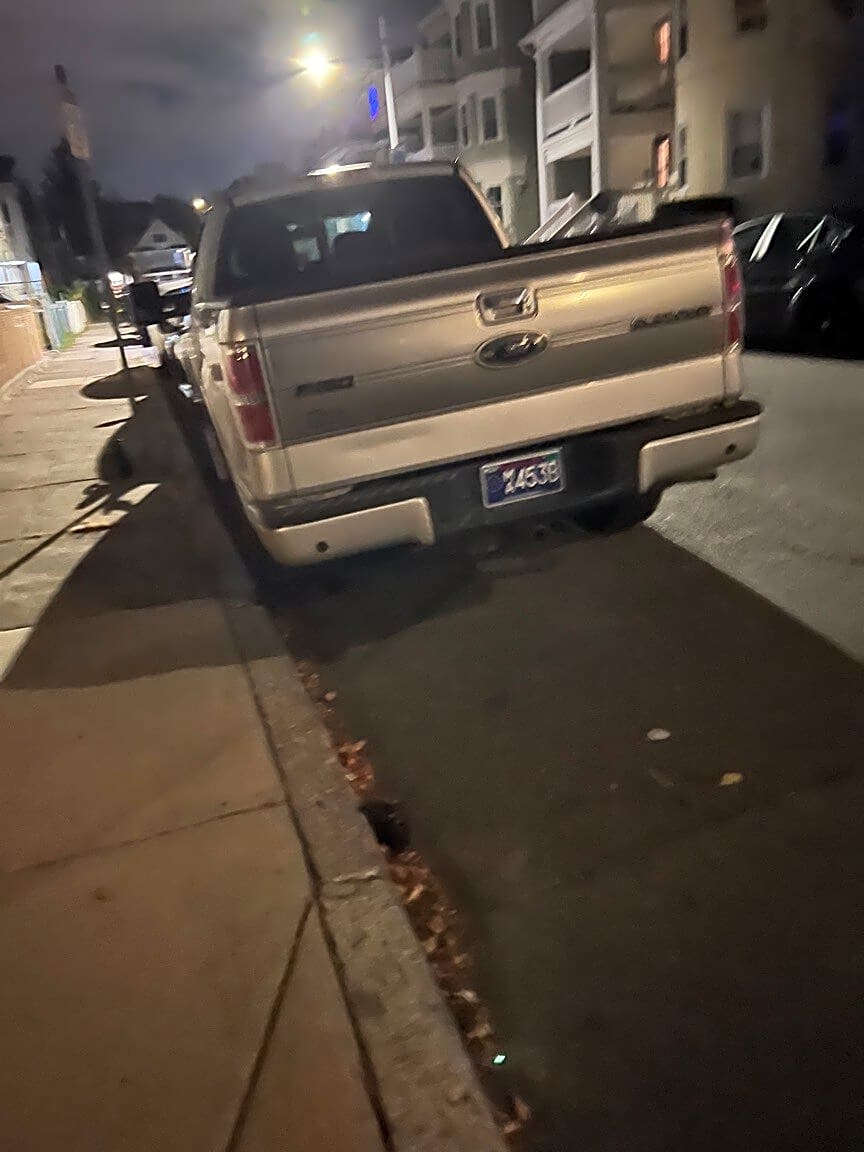 Image submitted with report