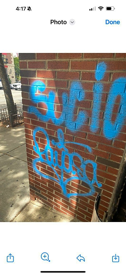 Image submitted with report