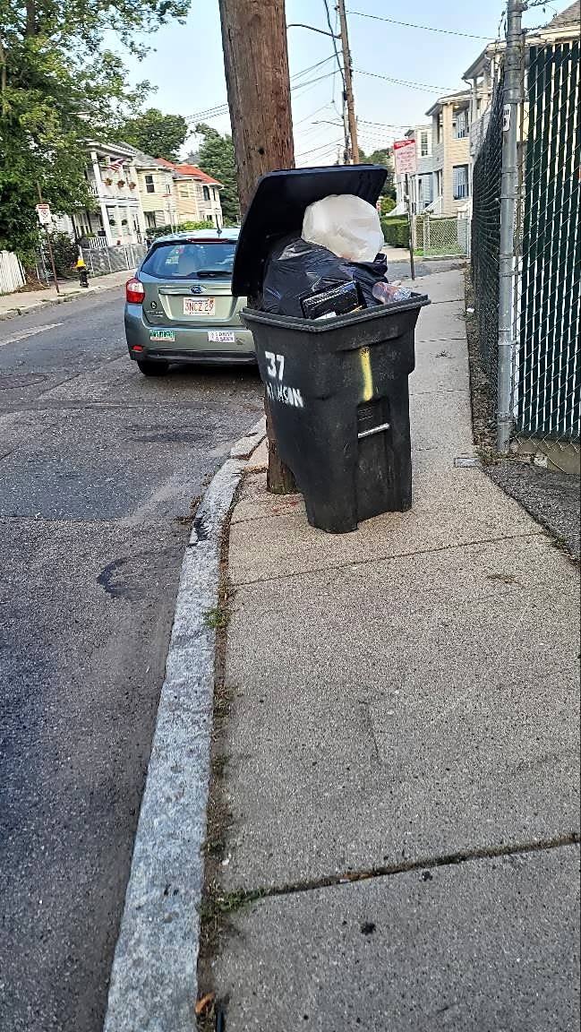 Image submitted with report