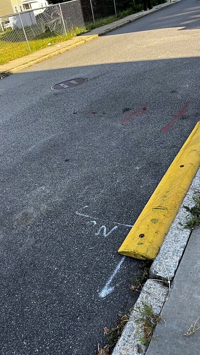 Image submitted with report