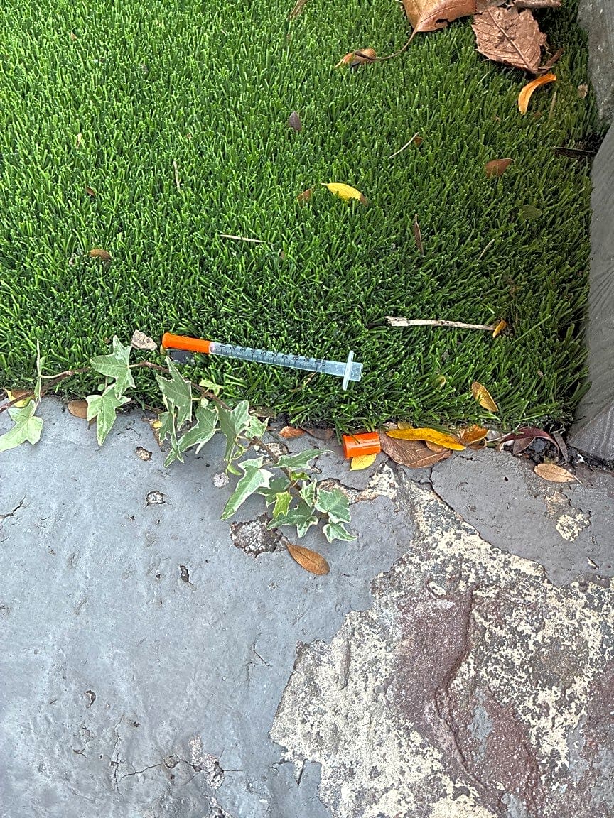 Image submitted with report