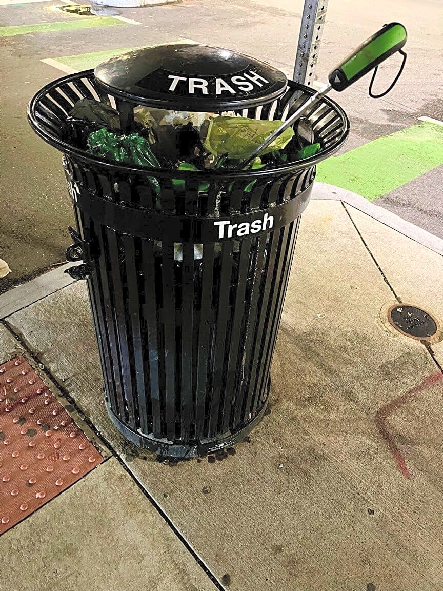 Image submitted with report