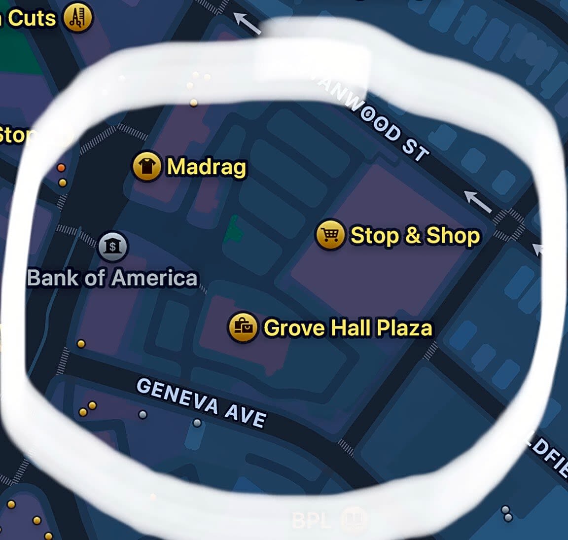 Image submitted with report