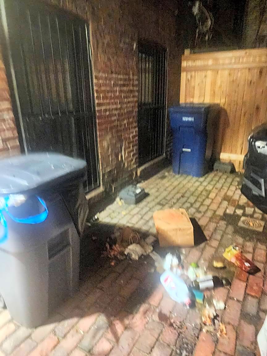 Image submitted with report