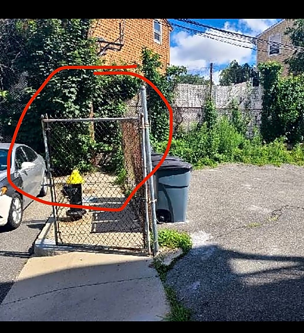 Image submitted with report