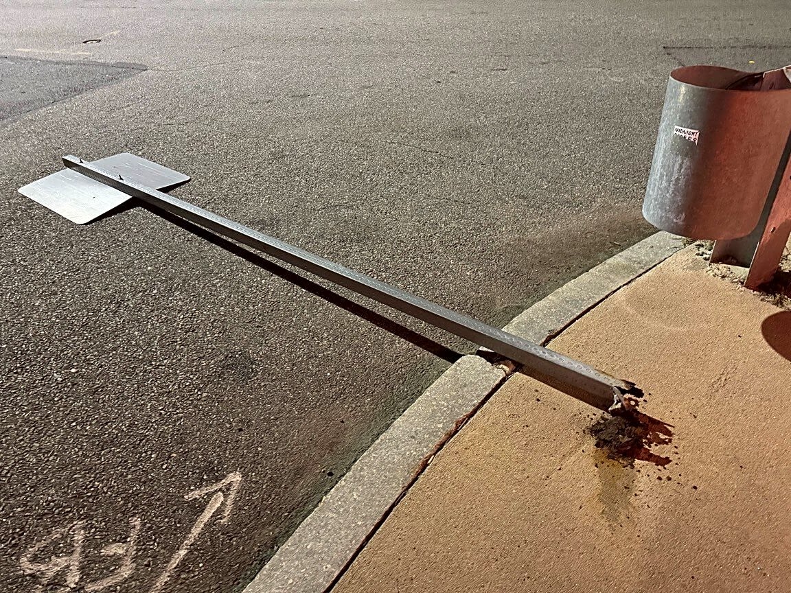 Image submitted with report