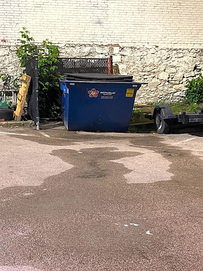 Image submitted with report