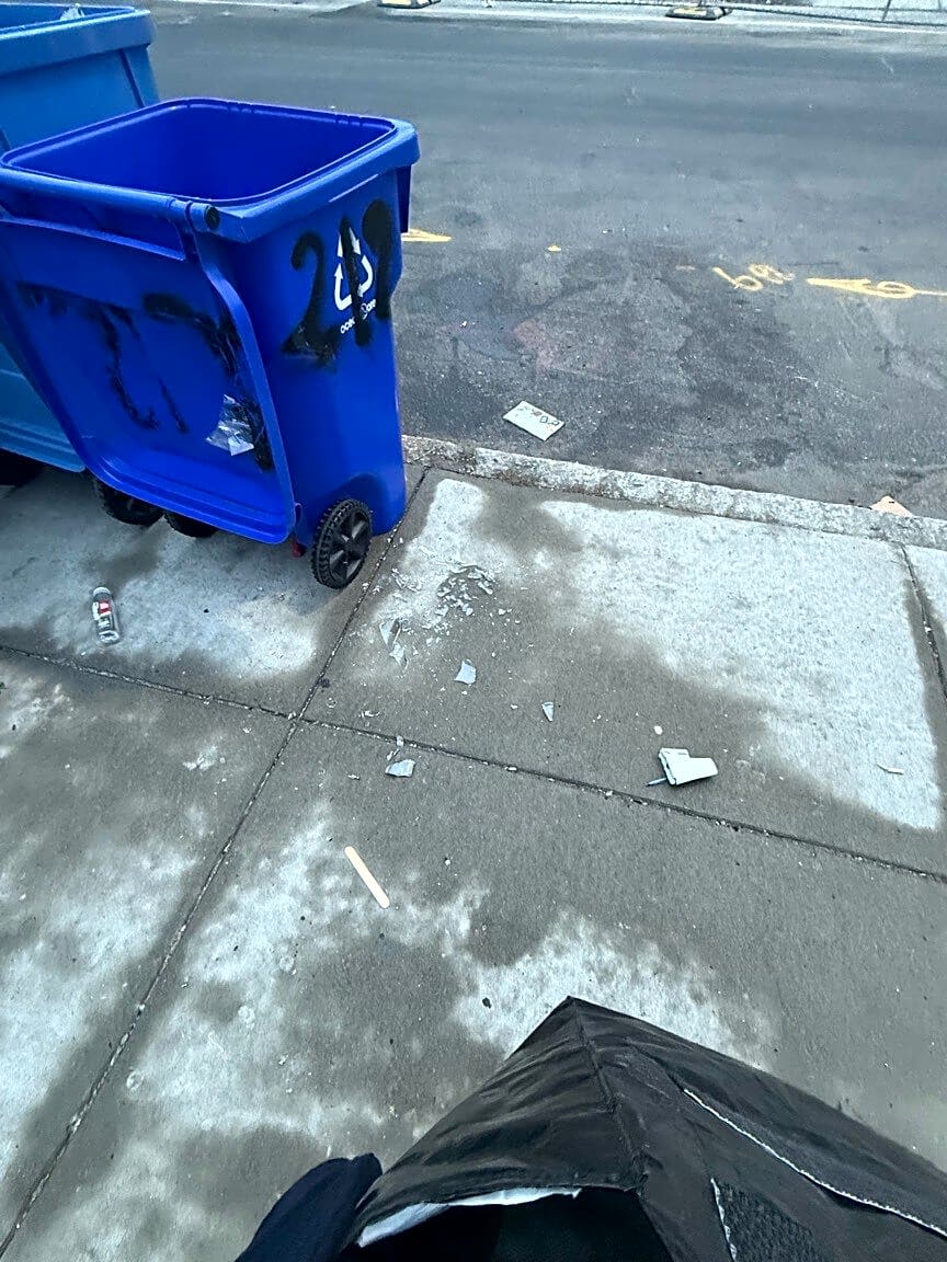 Image submitted with report