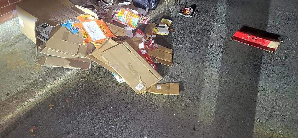 Image submitted with report