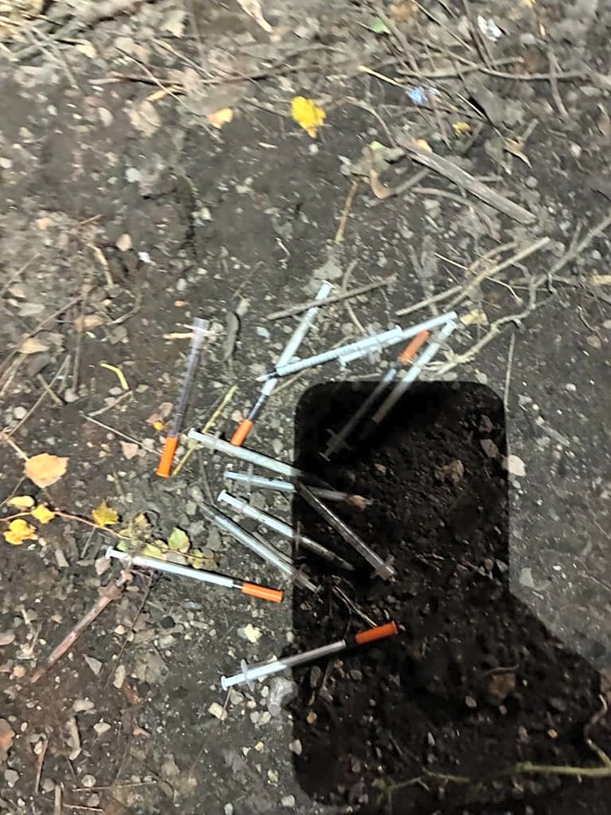 Image submitted with report