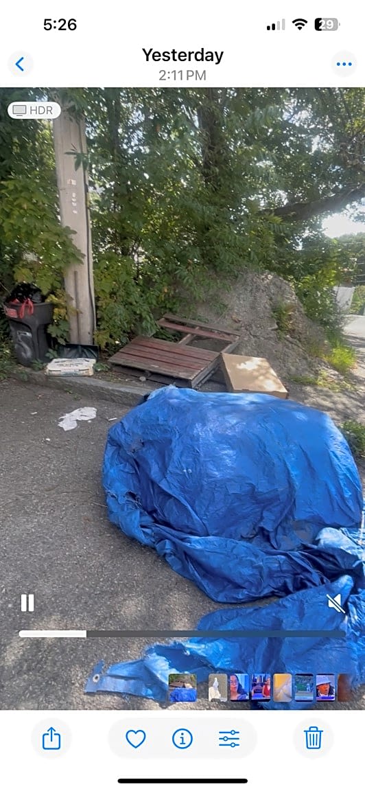 Image submitted with report