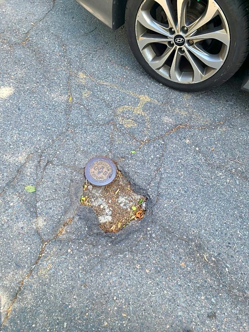 Image submitted with report