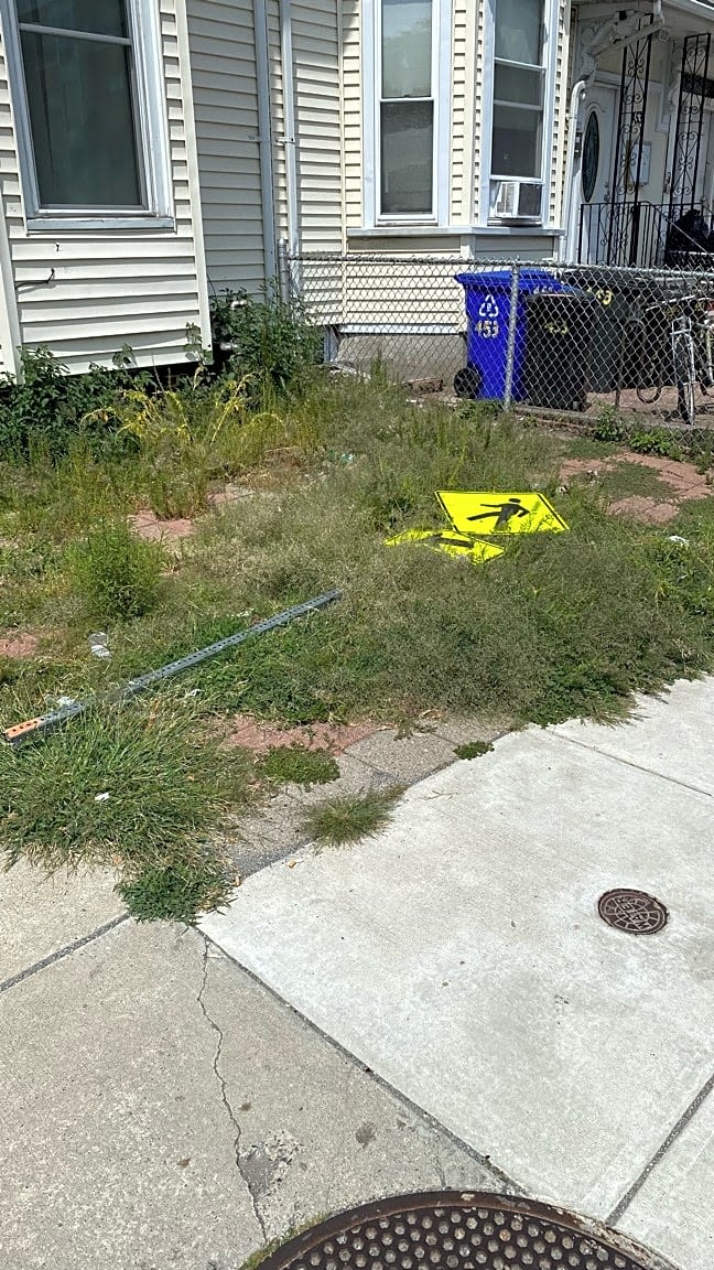 Image submitted with report