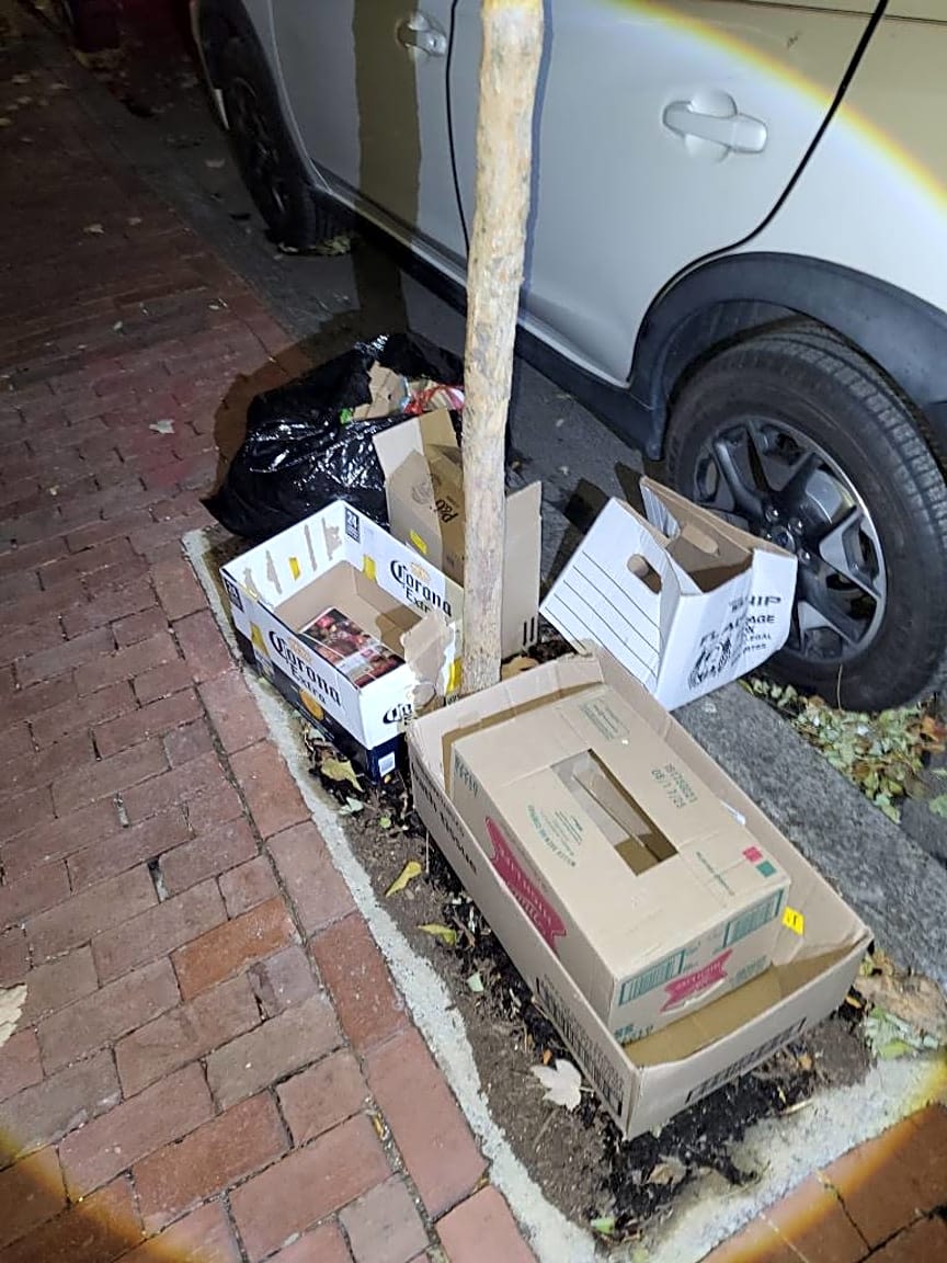 Image submitted with report