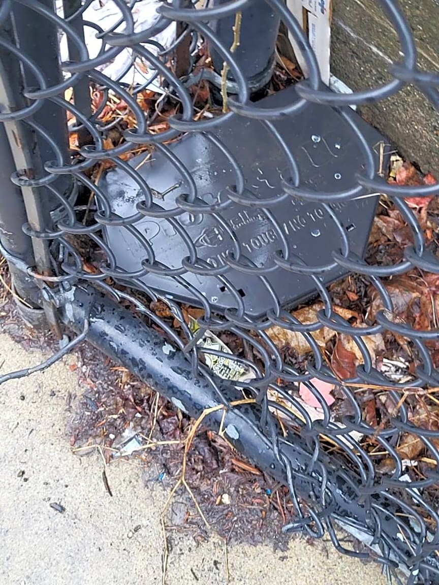 Image submitted with report