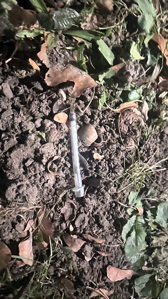 Image submitted with report