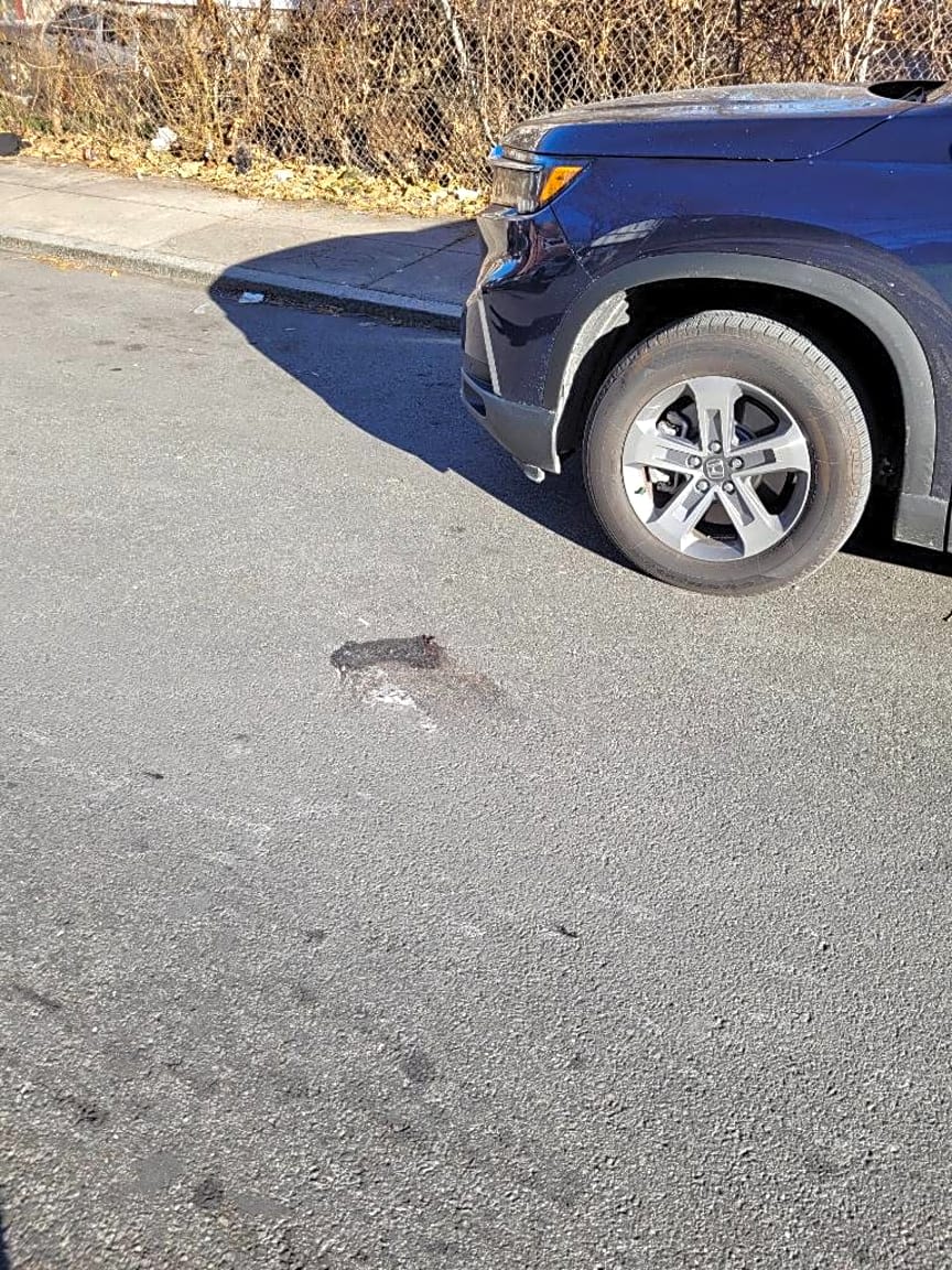 Image submitted with report