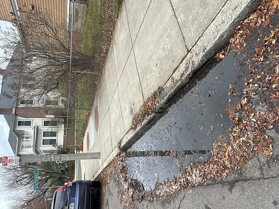 Image submitted with report