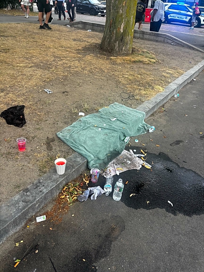 Image submitted with report