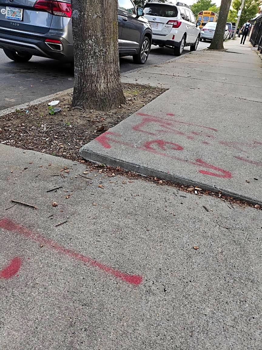 Image submitted with report