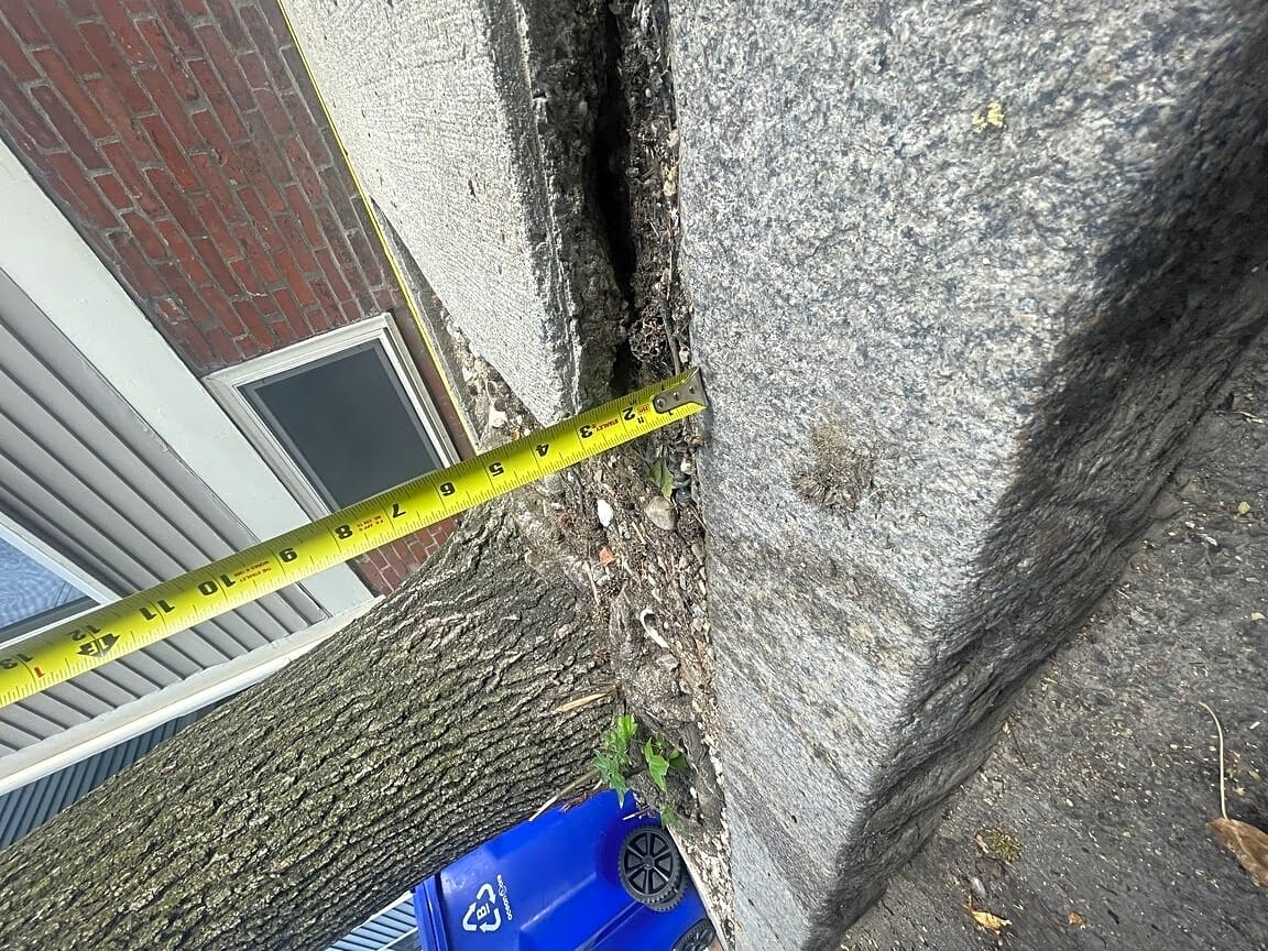 Image submitted with report