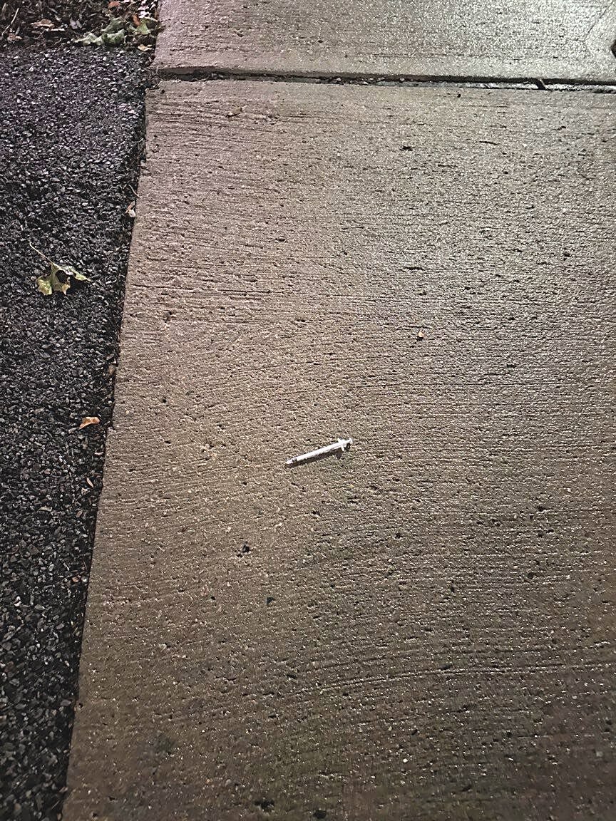 Image submitted with report