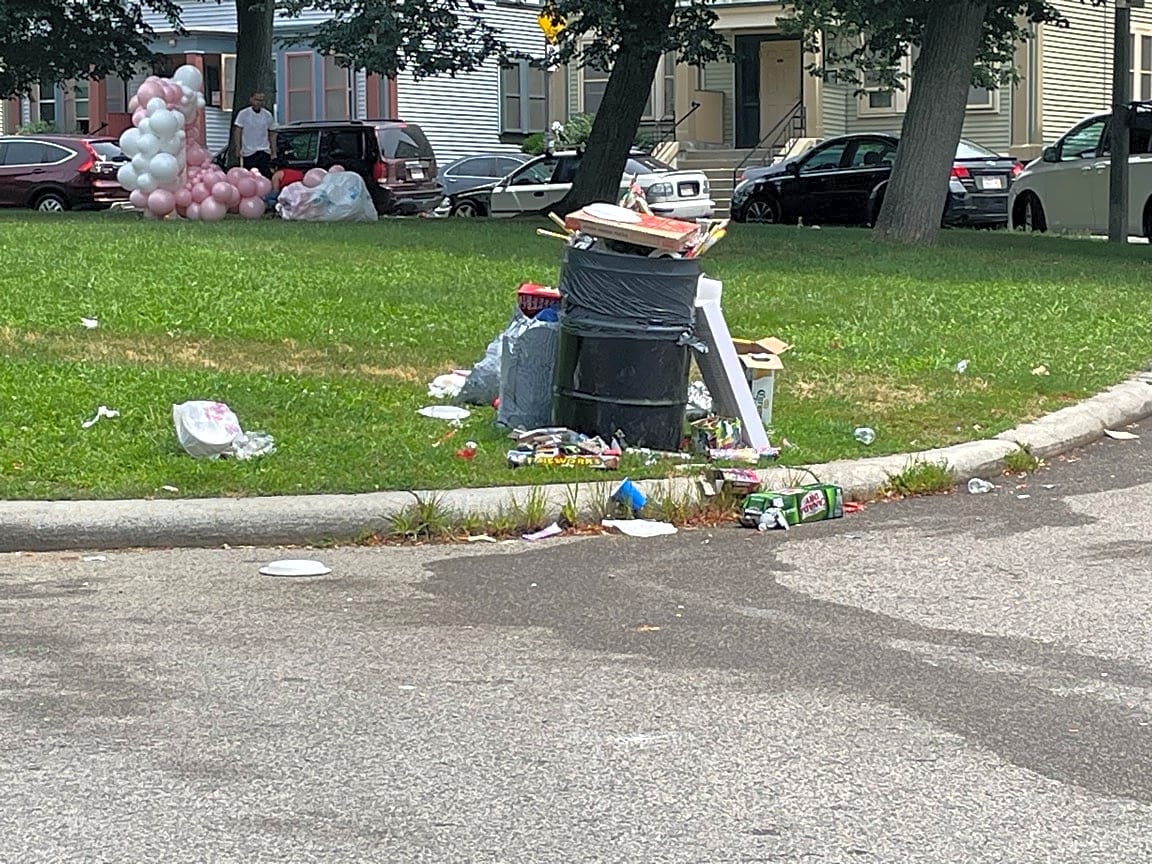 Image submitted with report