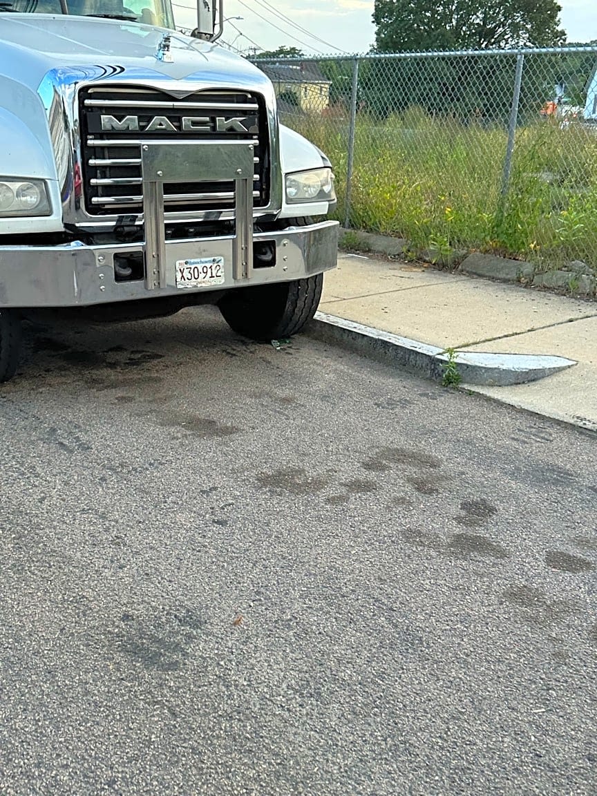 Image submitted with report