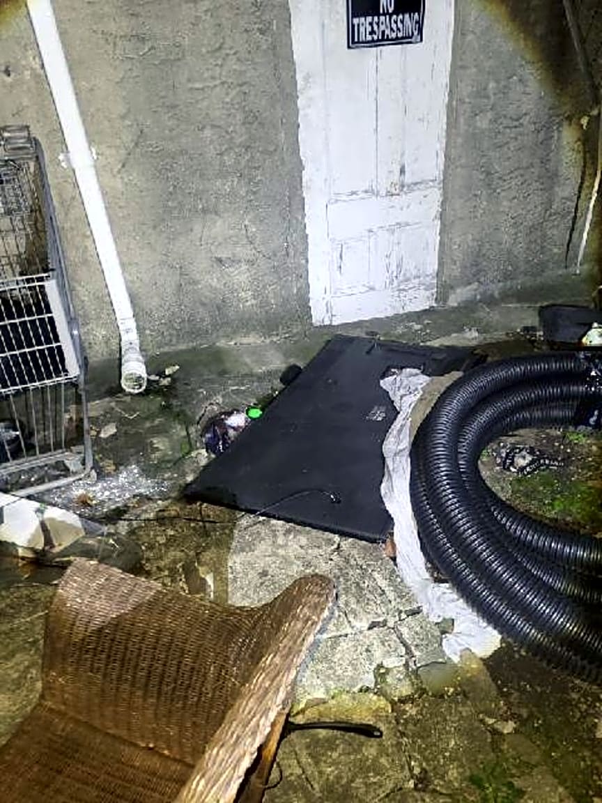 Image submitted with report