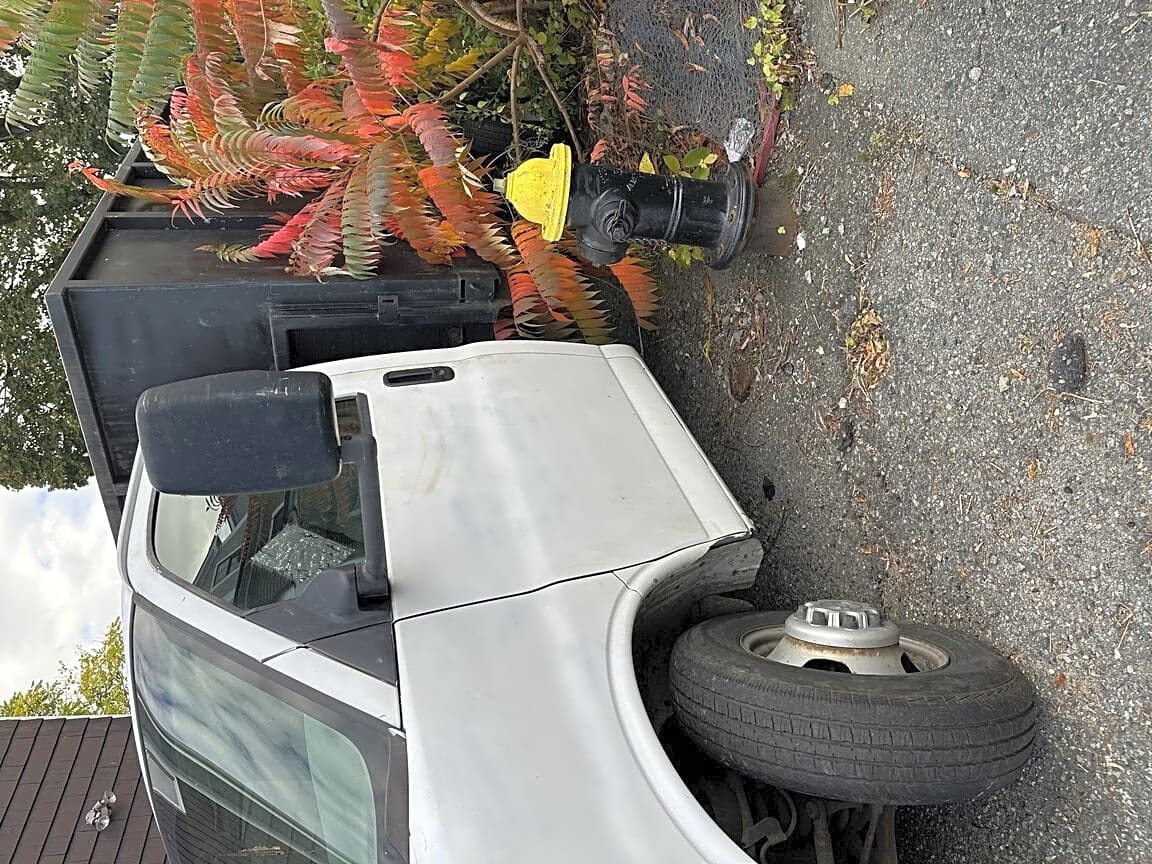 Image submitted with report