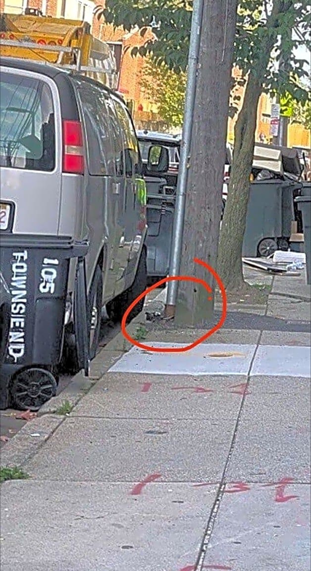 Image submitted with report