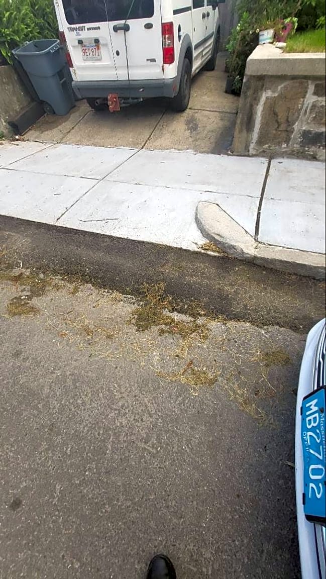 Image submitted with report