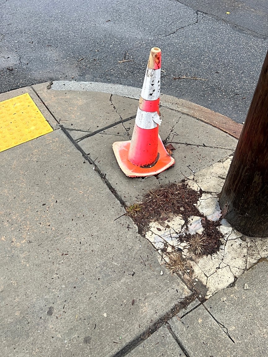 Image submitted with report