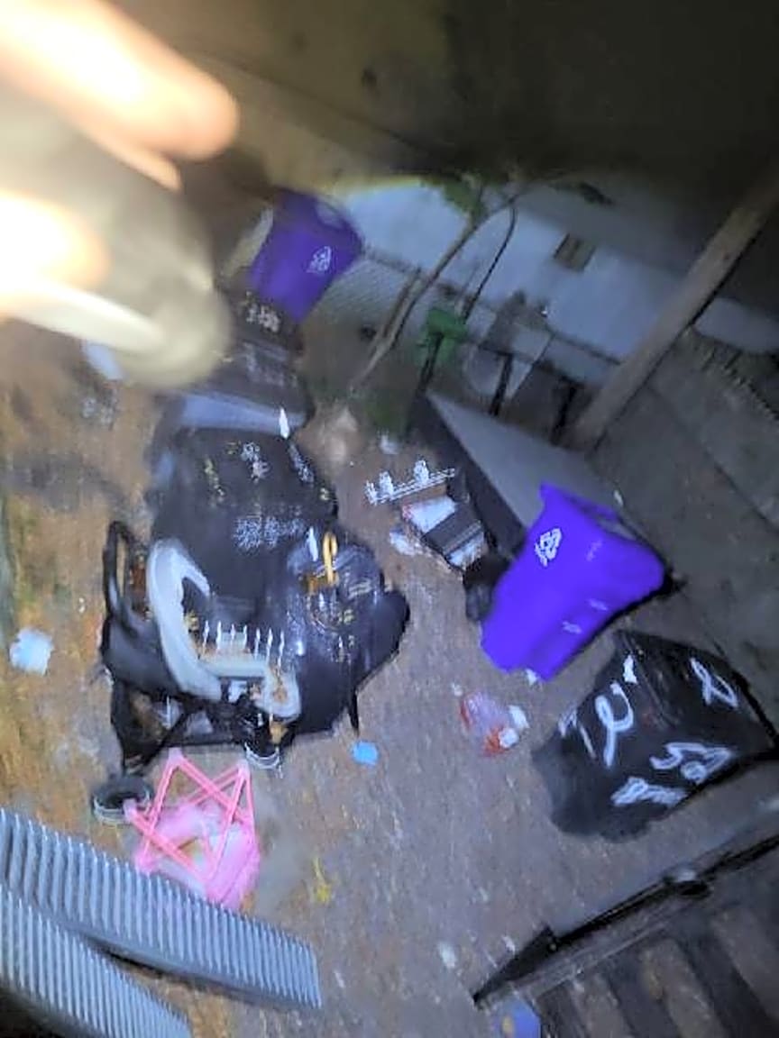 Image submitted with report