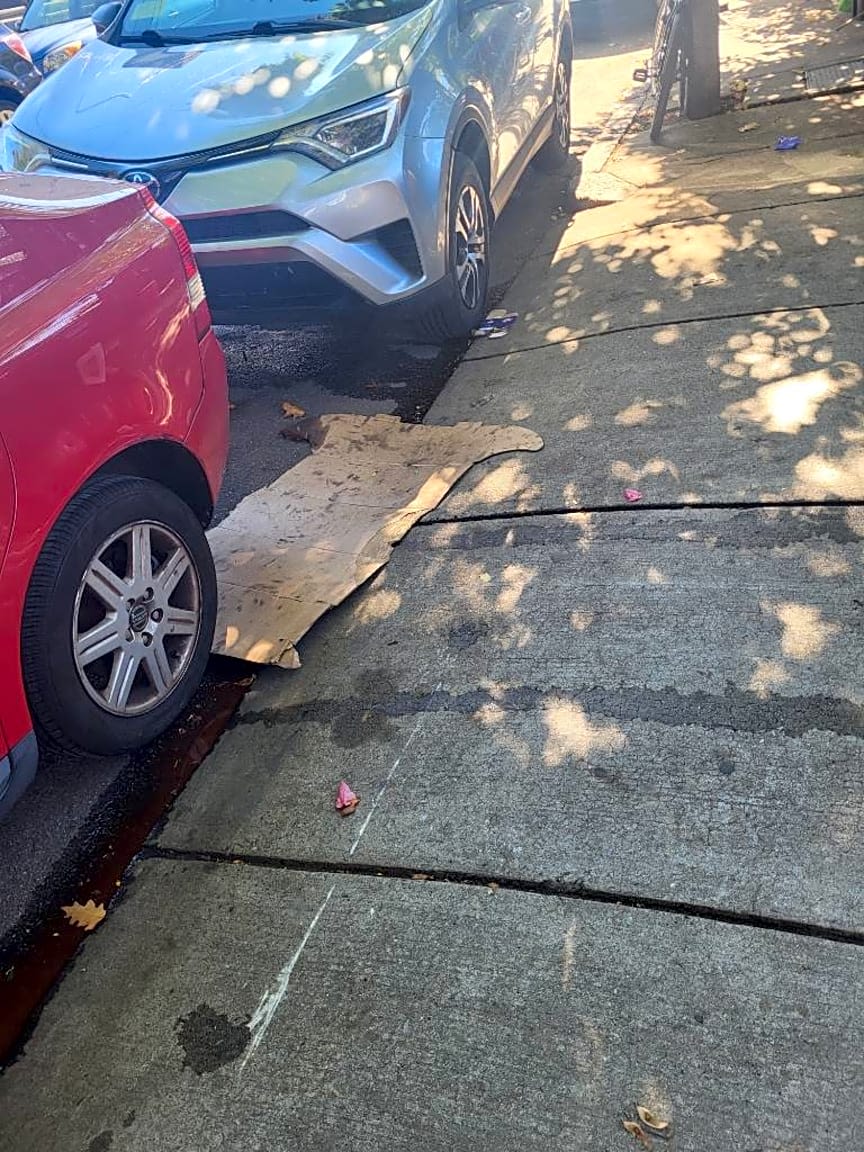 Image submitted with report