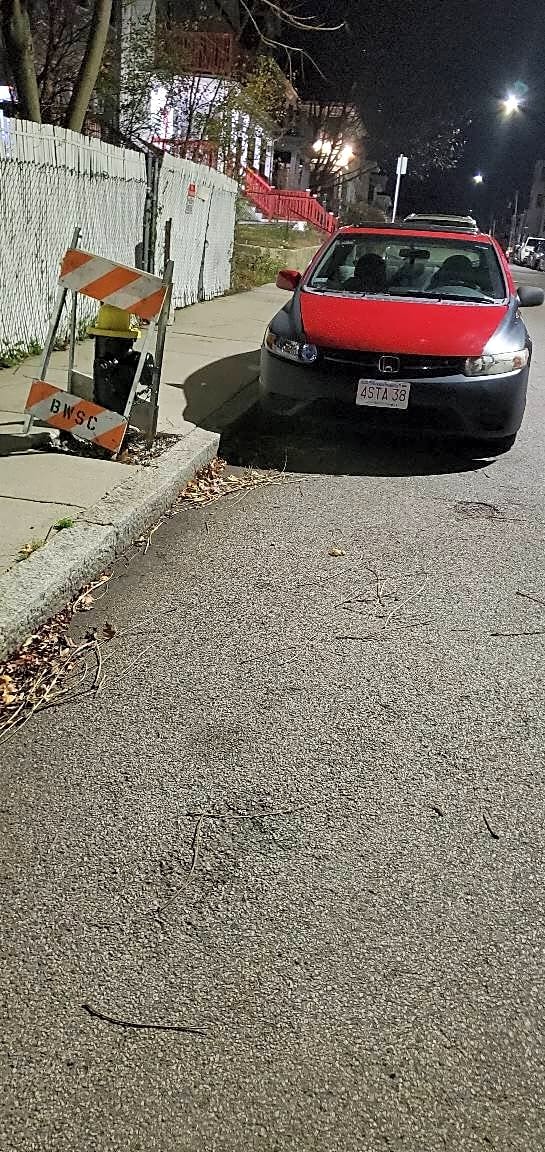 Image submitted with report